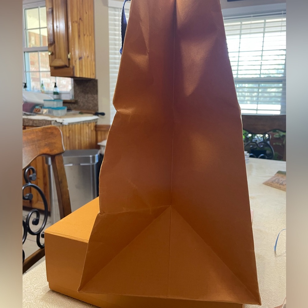 LV Shopper-Box-Dust Bag Empty - Picture 10 of 12